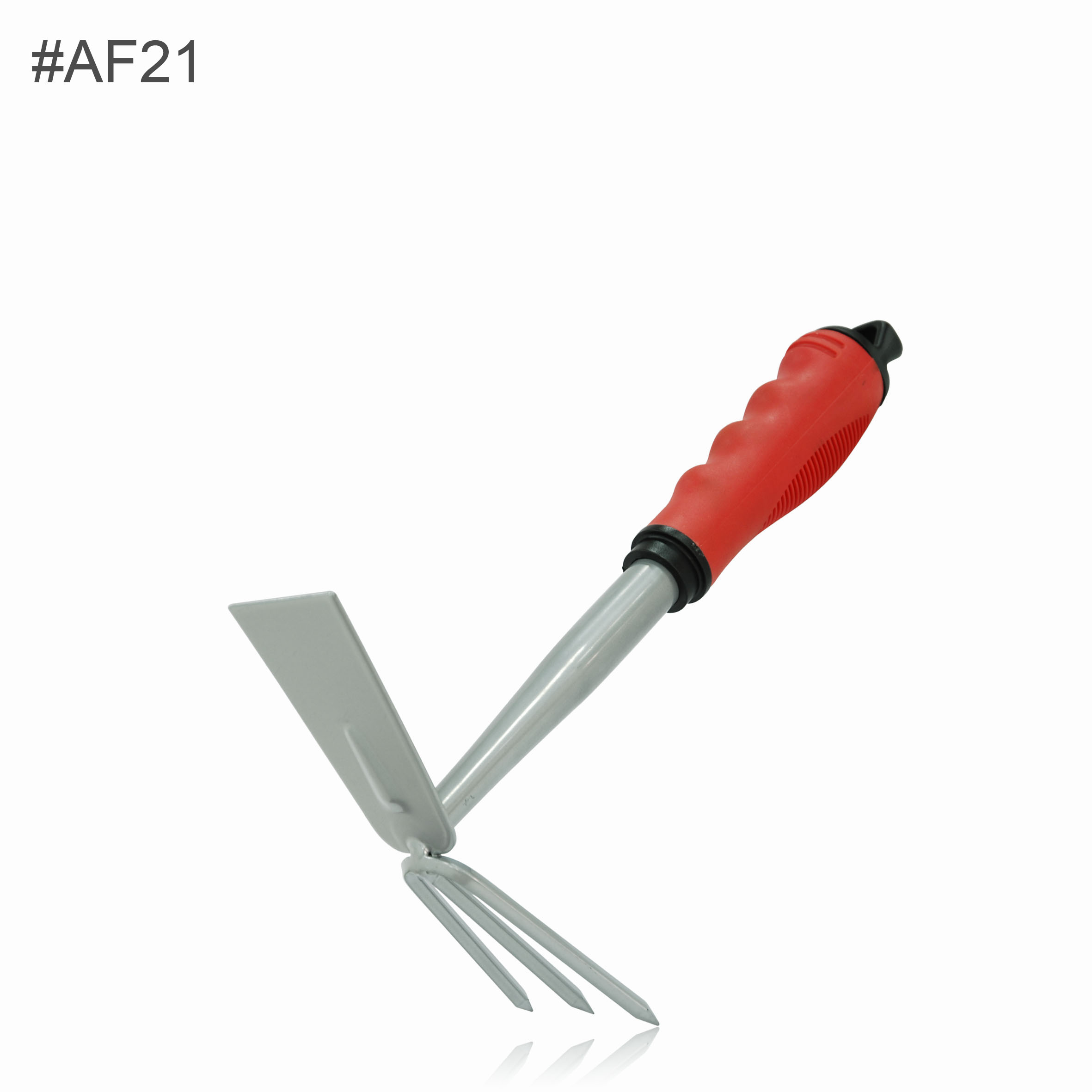 AF21